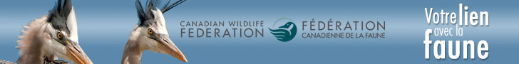 La Fédération Canadienne de la Faune 