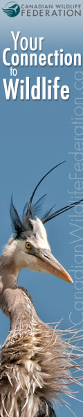 Canadian Wildlife Federation